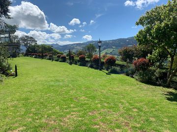 place photo 33