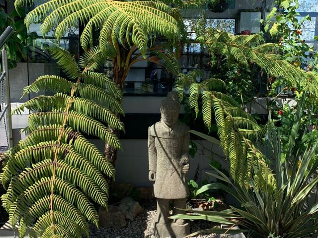place photo 35