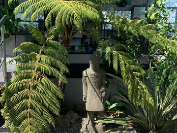 place photo 35