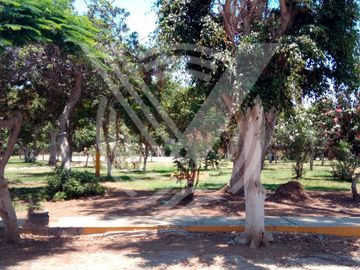 place photo 18