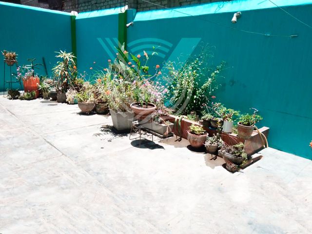 place photo 60