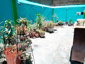 place photo 59