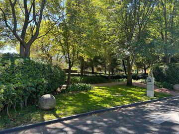place photo 23