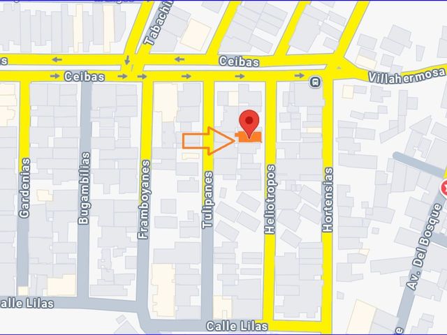 place photo 12