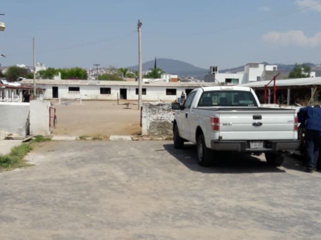 place photo 7