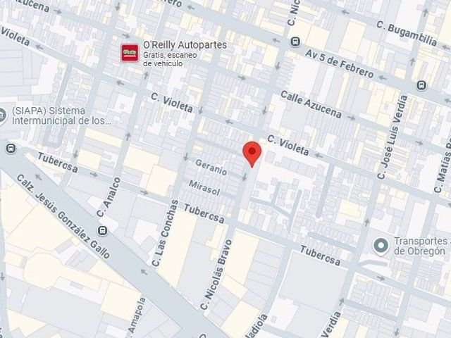 place photo 10