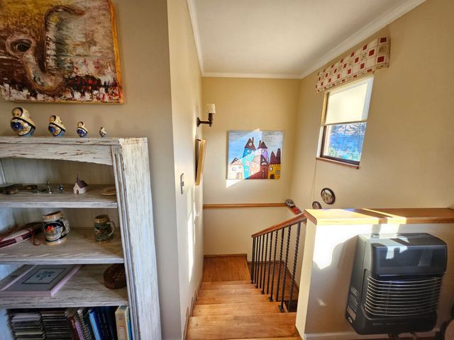 place photo 31