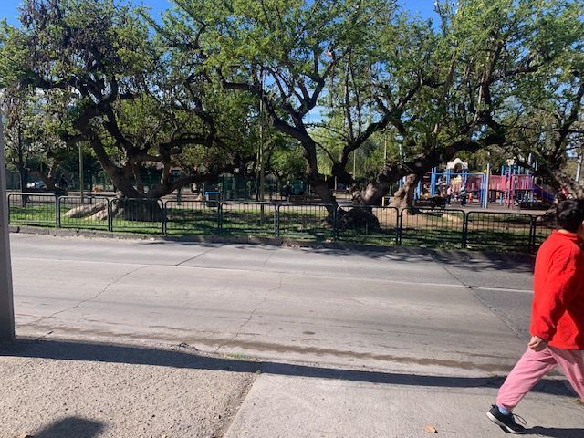 place photo 32