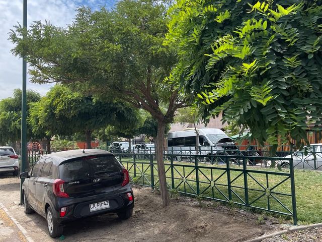 place photo 24