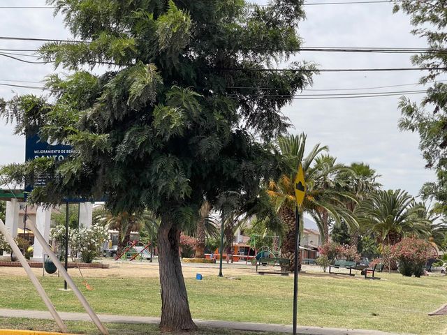place photo 30