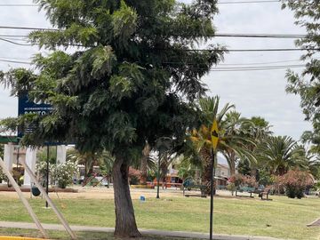 place photo 30