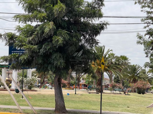 place photo 27