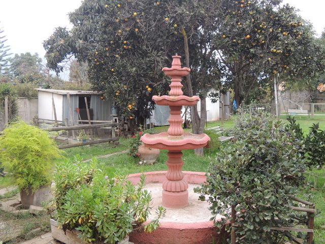 place photo 32