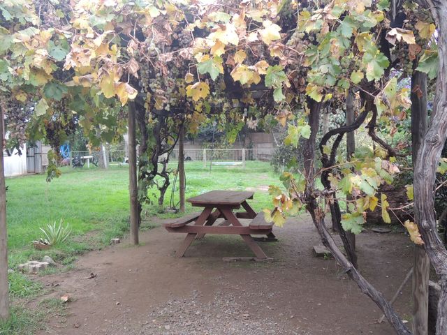 place photo 33