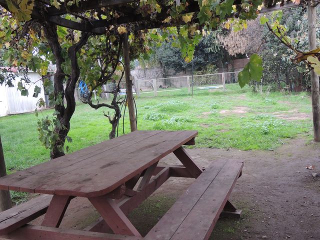 place photo 34