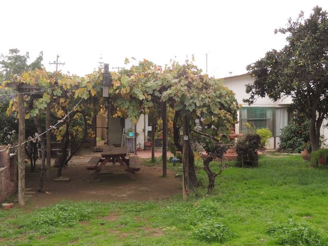 place photo 37