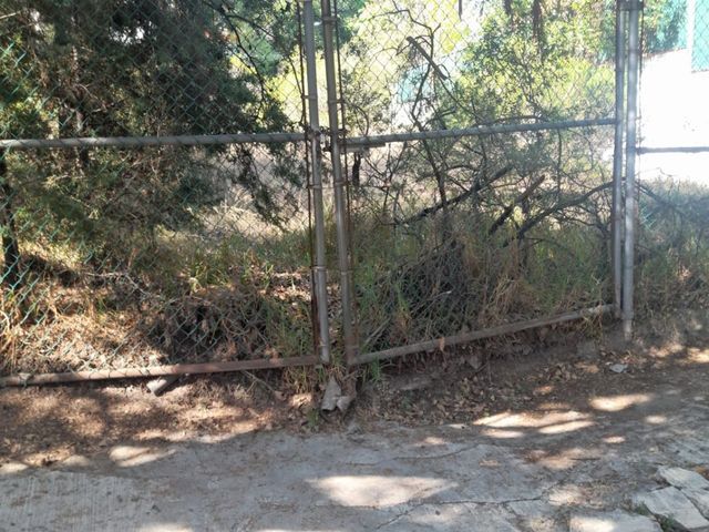 place photo 11