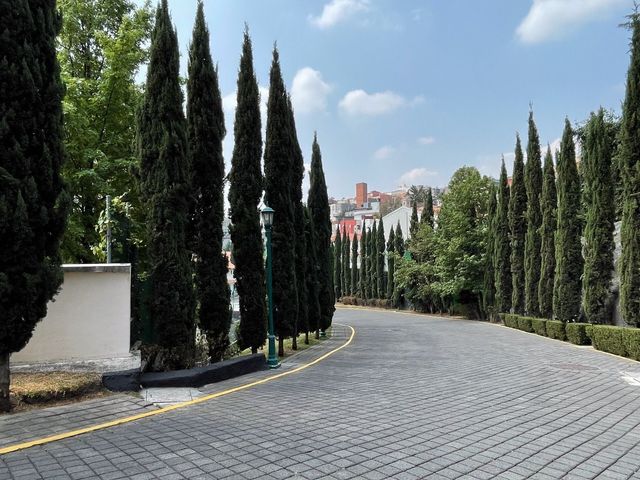 place photo 44