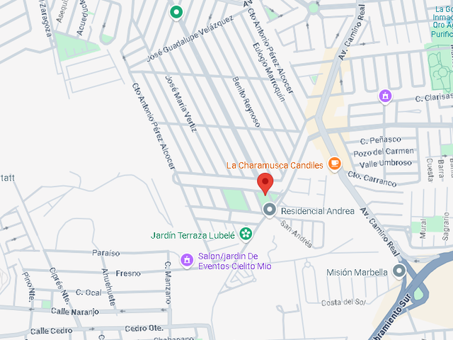 place photo 13