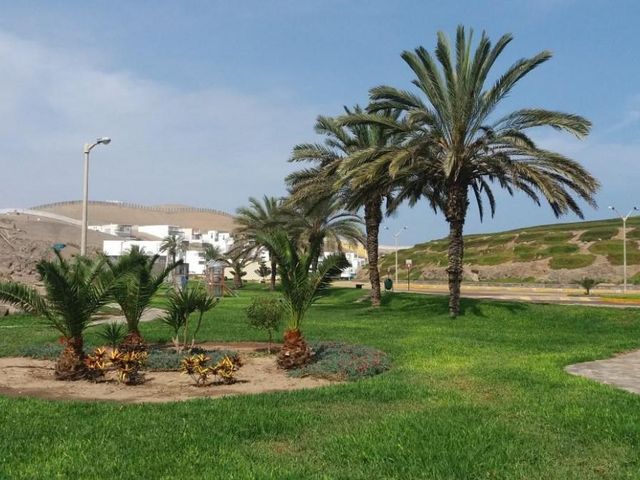 place photo 30