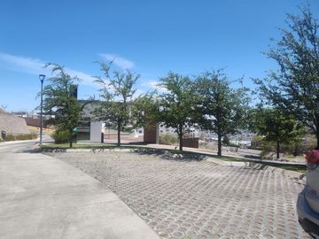 place photo 33