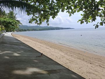 place photo 31