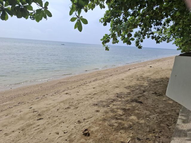 place photo 33