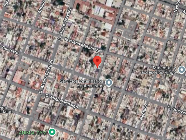 place photo 5