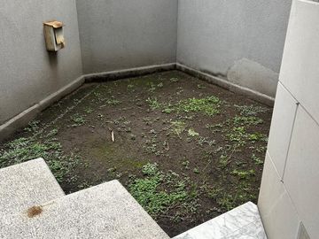 place photo 59
