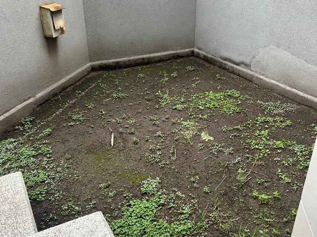 place photo 60