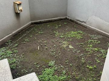 place photo 60