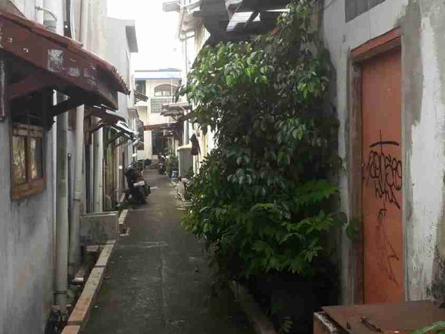 place photo 12