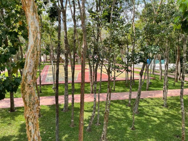 place photo 14