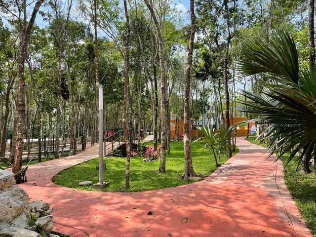 place photo 22