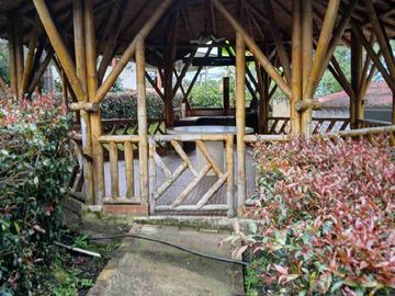 place photo 39