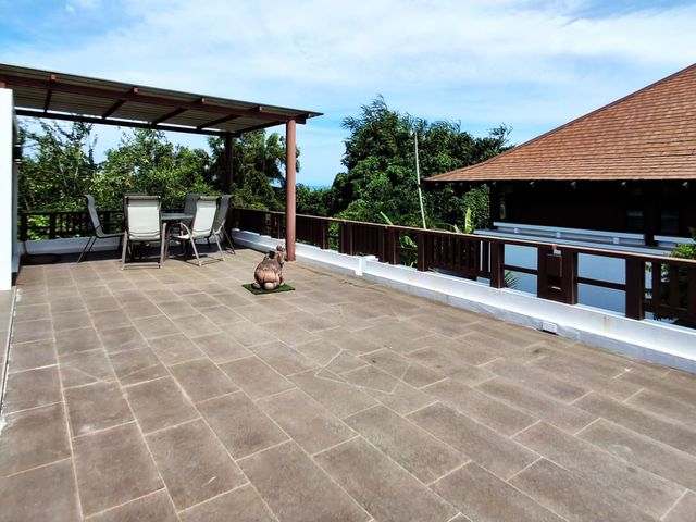 place photo 43