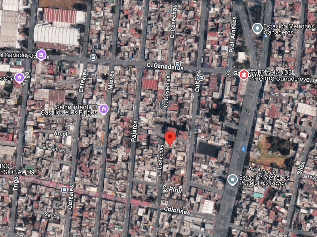 place photo 8