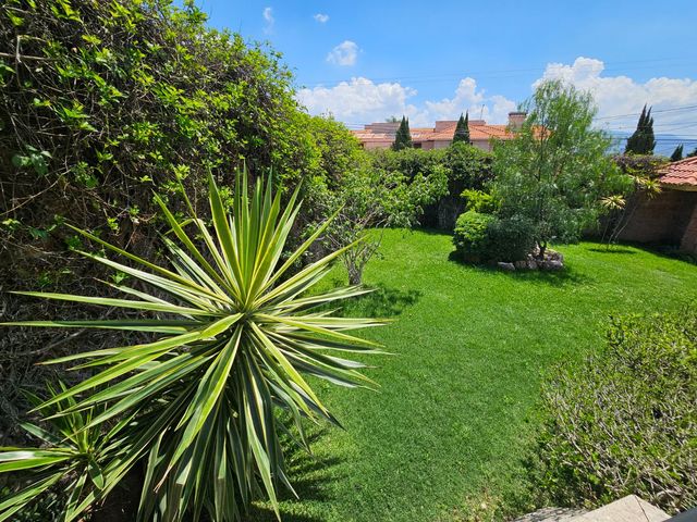 place photo 52