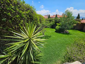 place photo 52