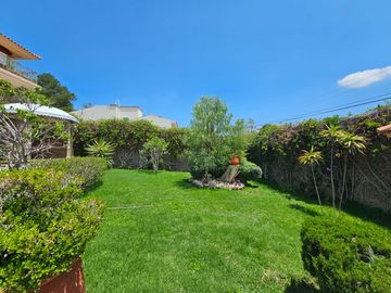 place photo 59