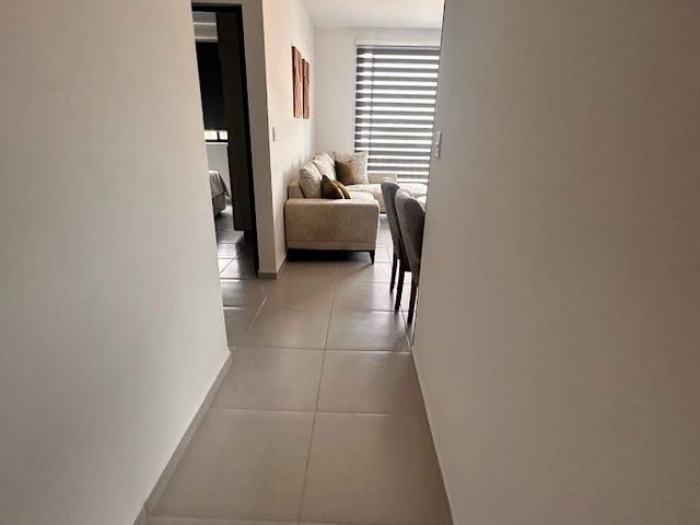 place photo 44