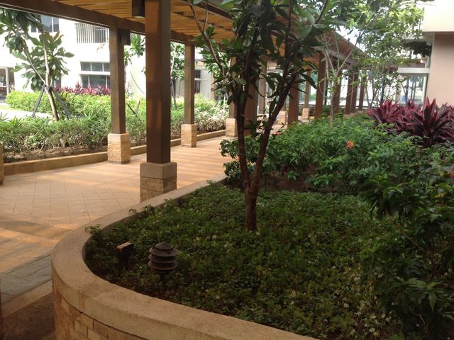 place photo 23
