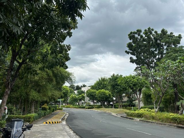 place photo 35