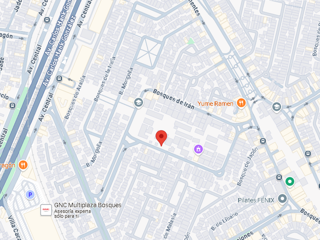 place photo 12