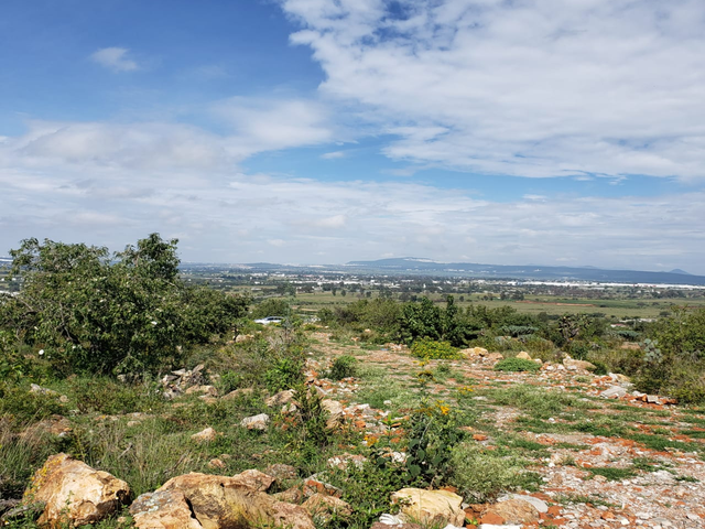 place photo 18