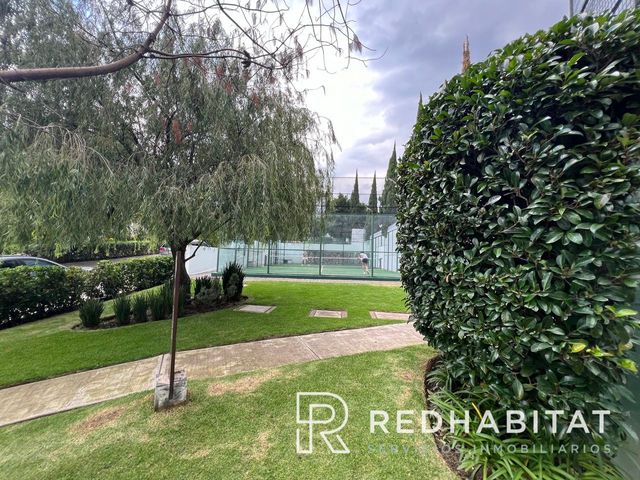 place photo 45