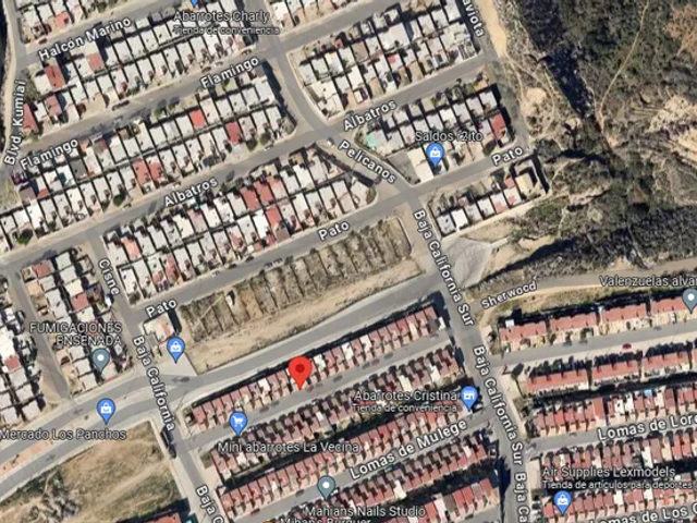 place photo 10