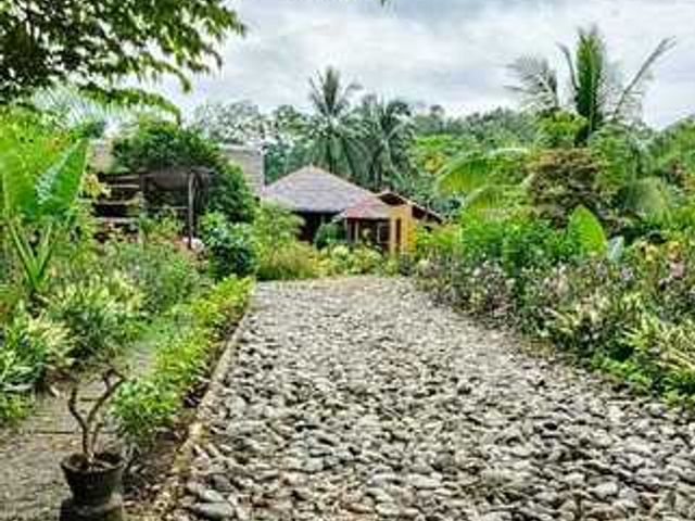 place photo 26