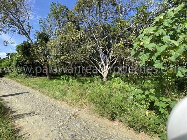 place photo 8