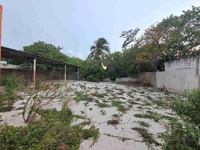 place photo 17